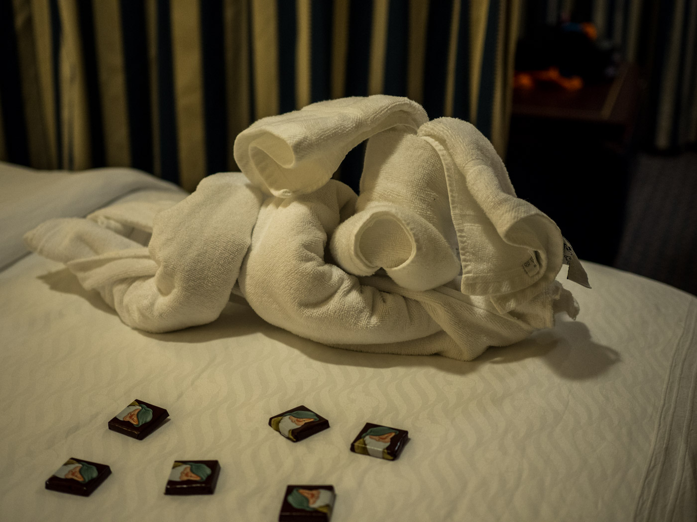 Some sort of towel animal on our bed. And lots of chocolates, too.