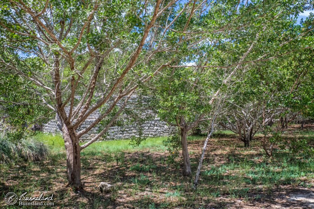 Ruins in the trees.