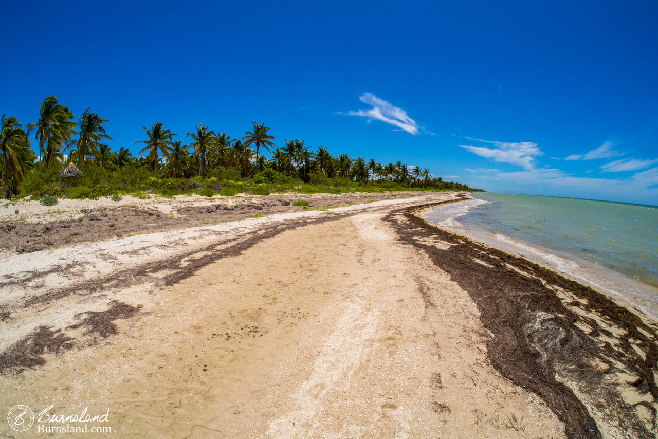 A lovely view down the beach. With no people anywhere in sight.