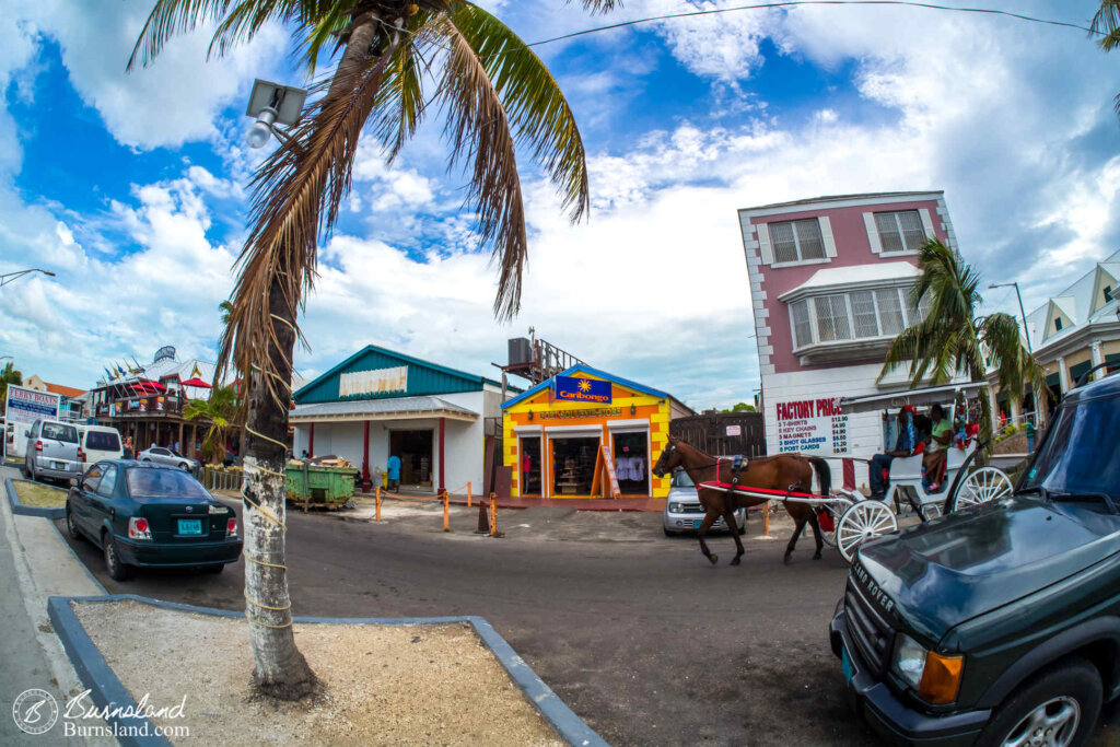 Cars, palm trees, shops, and a horse. Just a typical Nassau street scene.