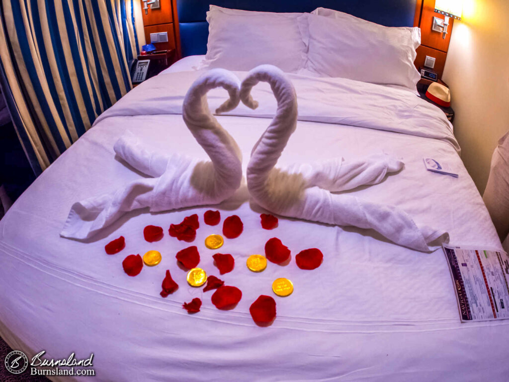 We were greeted by some loving swans when we got back to our room.