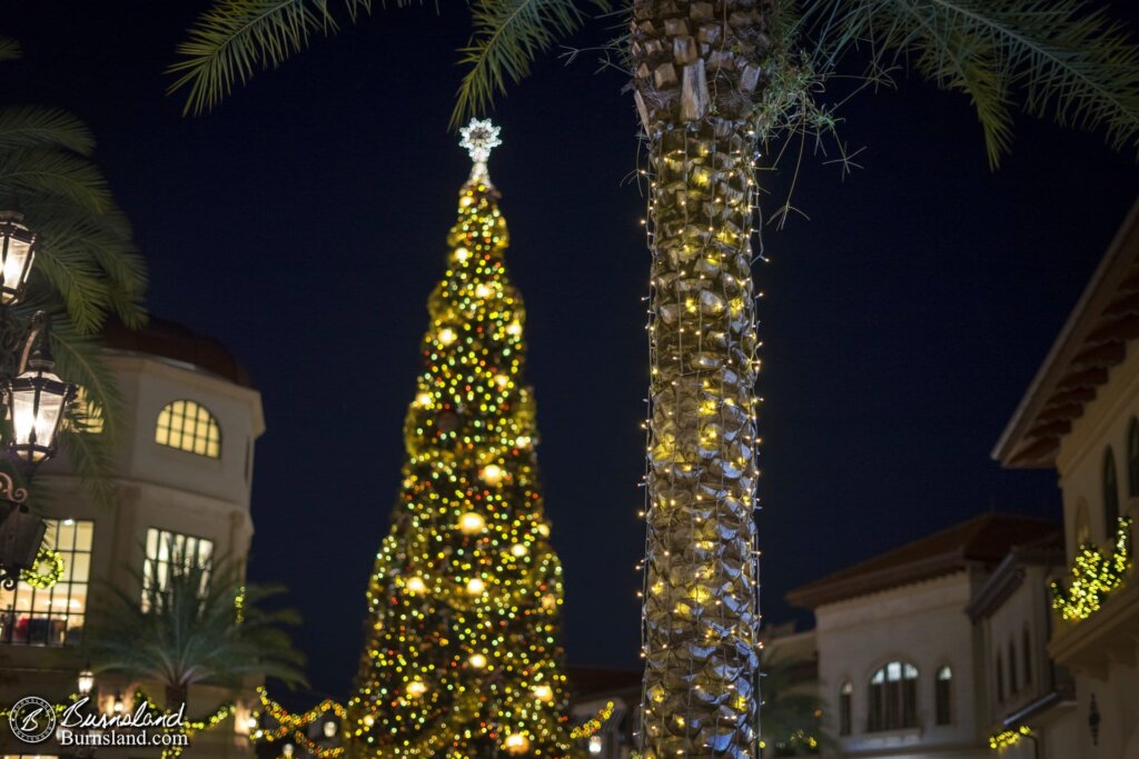 I liked the Christmas lights on this palm tree.