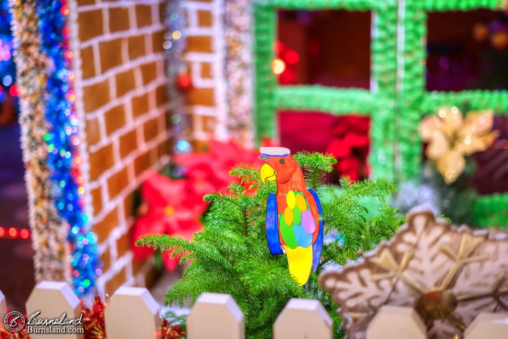 My Pirate Parrot decided to nest in the tree by the gingerbread house