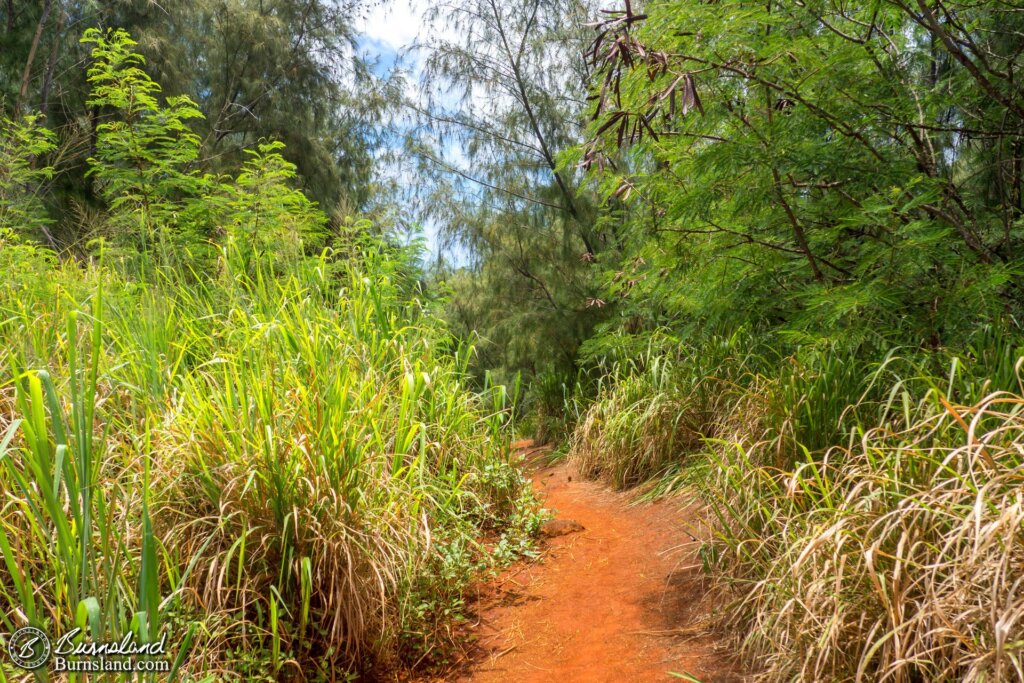 The mysterious path down to the beach.