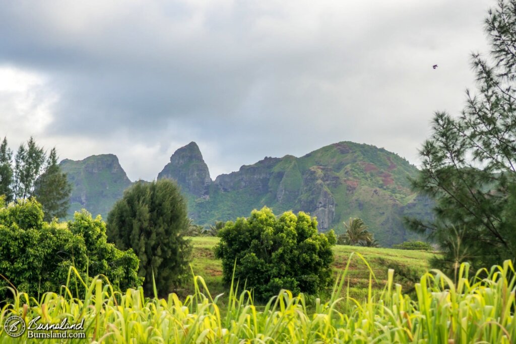 Cool mountains in the distance