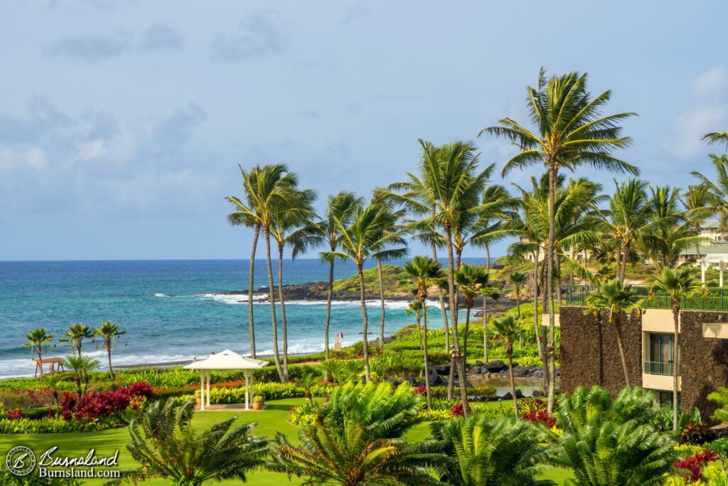 Just another view of the hotel grounds. I took lots of photos like this. Every day.