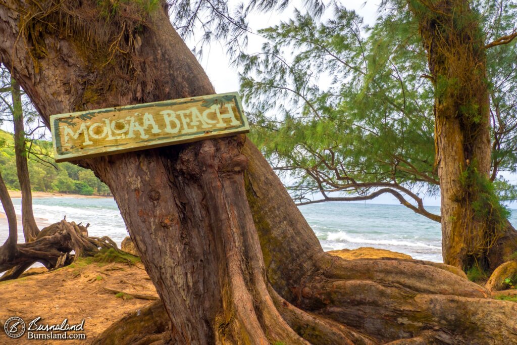 I liked the sign at Moloaʻa Beach.