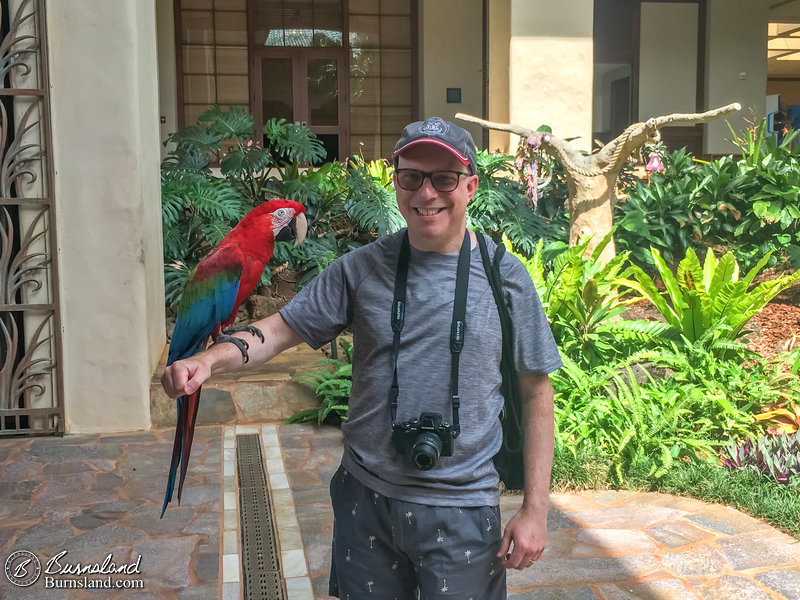 Just hanging out with our feathered friend.