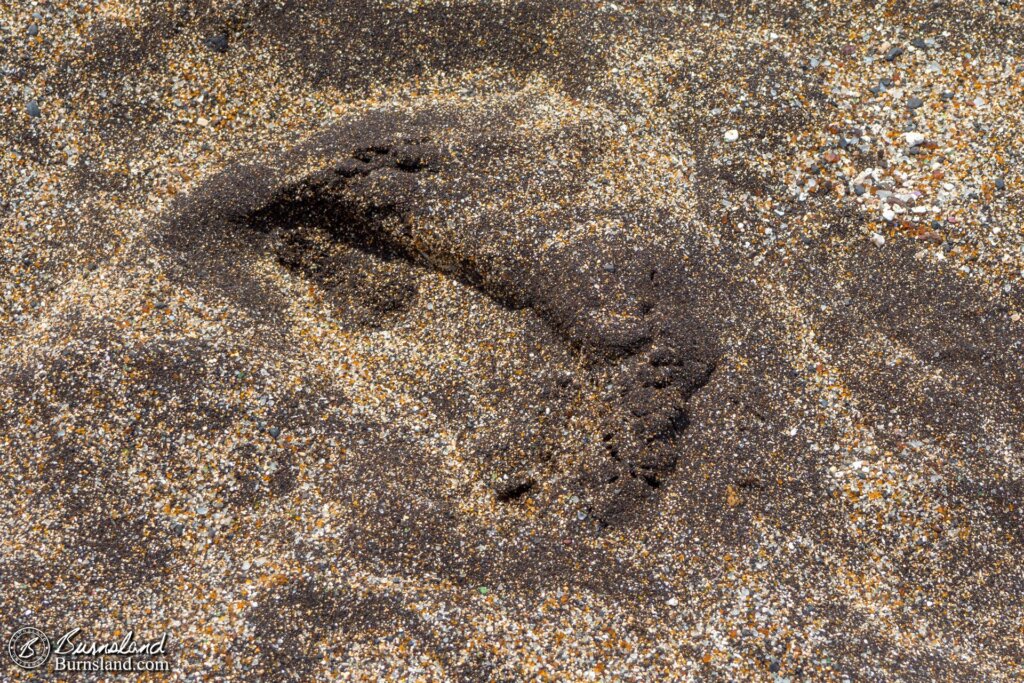 The mixture of sand types makes an interesting footprint.