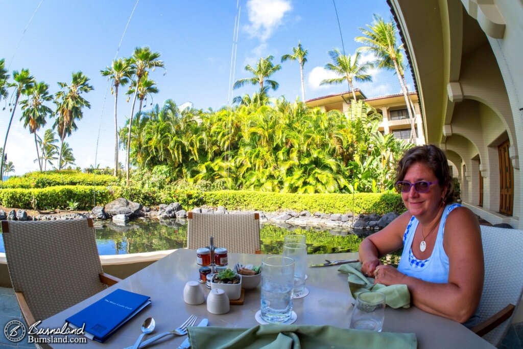 Breakfast with a view