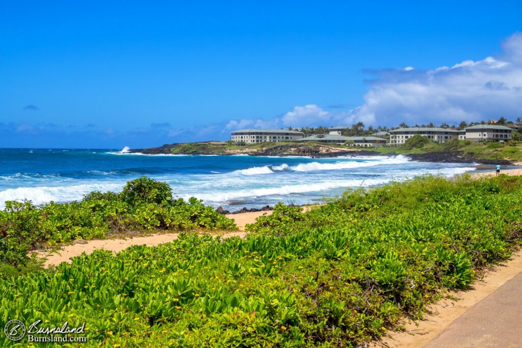 Walking along the pathway beside the beach