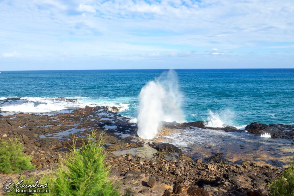 The Spouting Horn spouts. We liked it.