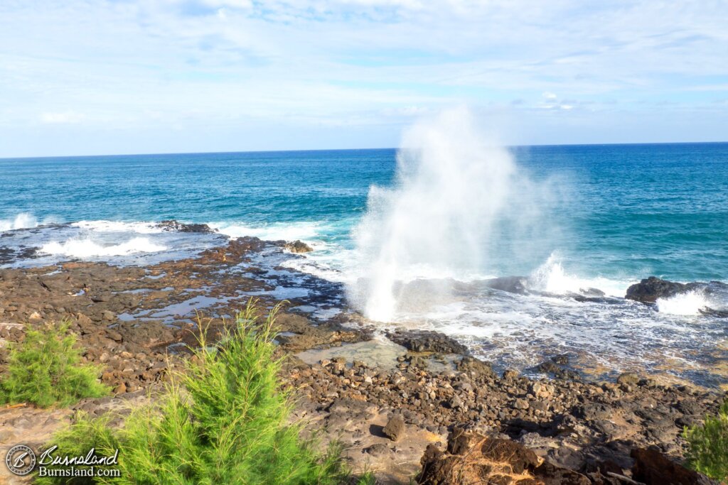 The Spouting Horn spouts. We liked it.