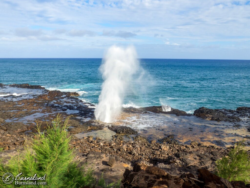 The Spouting Horn spouts. We liked it.