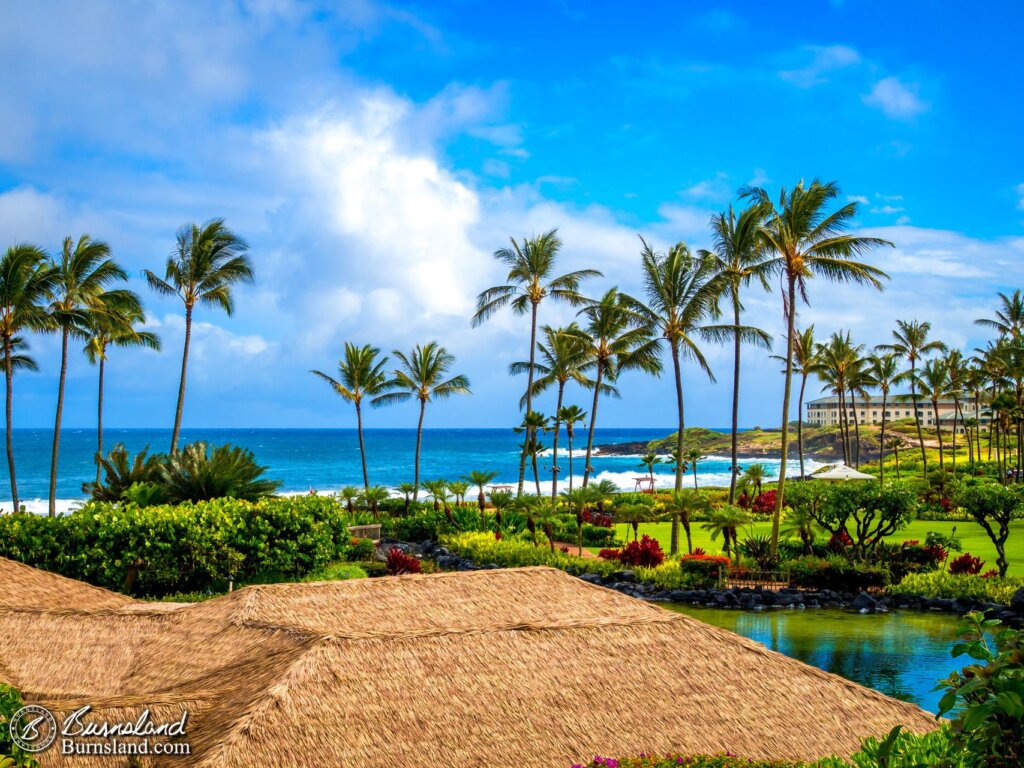 The weather can change relatively quickly in Kauaʻi. What happened to the rain? Actually, it came back for another visit after this…