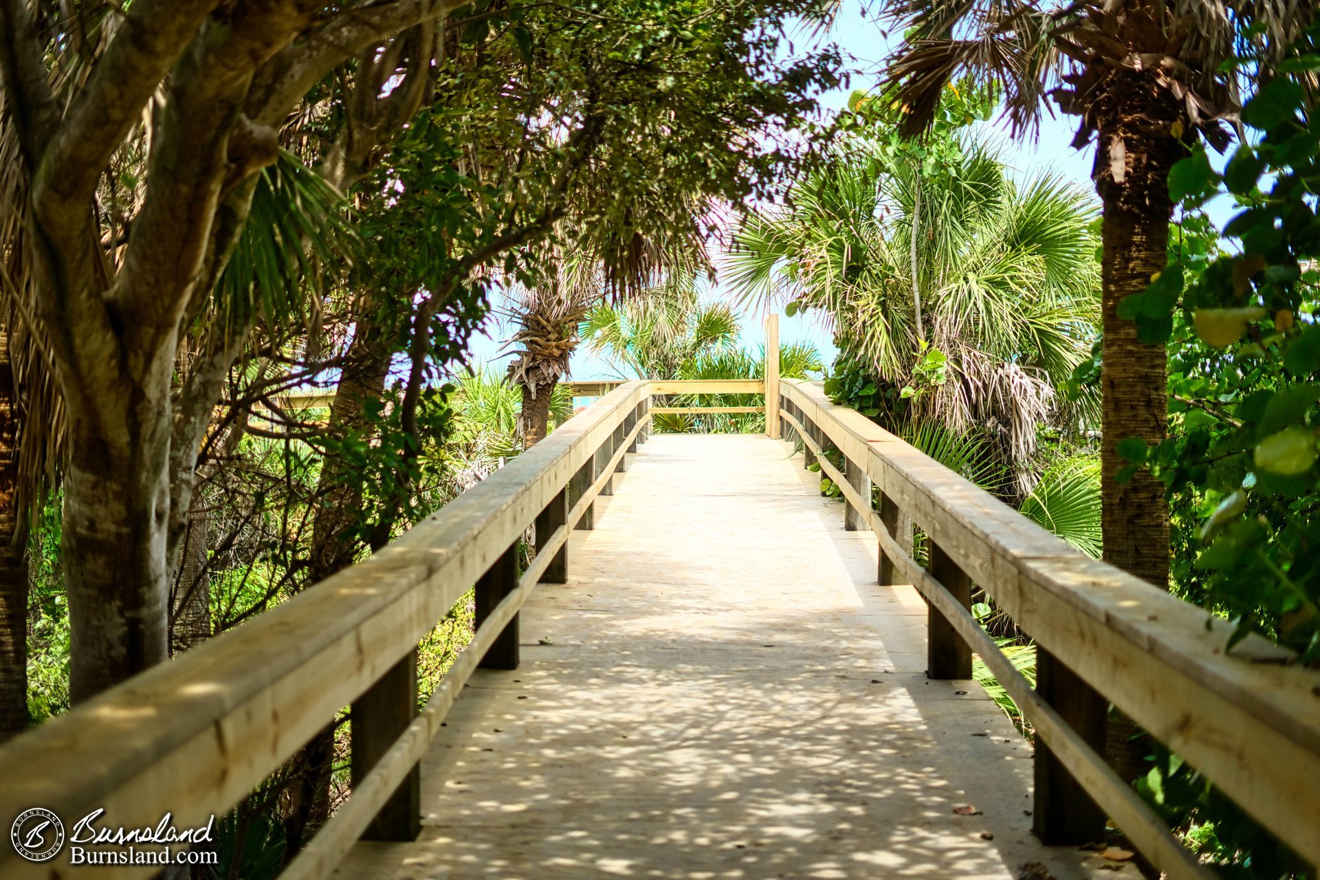 One of the many boardwalks leading from the parking lot to the beach at Lori Wilson Park. I love photographing these.