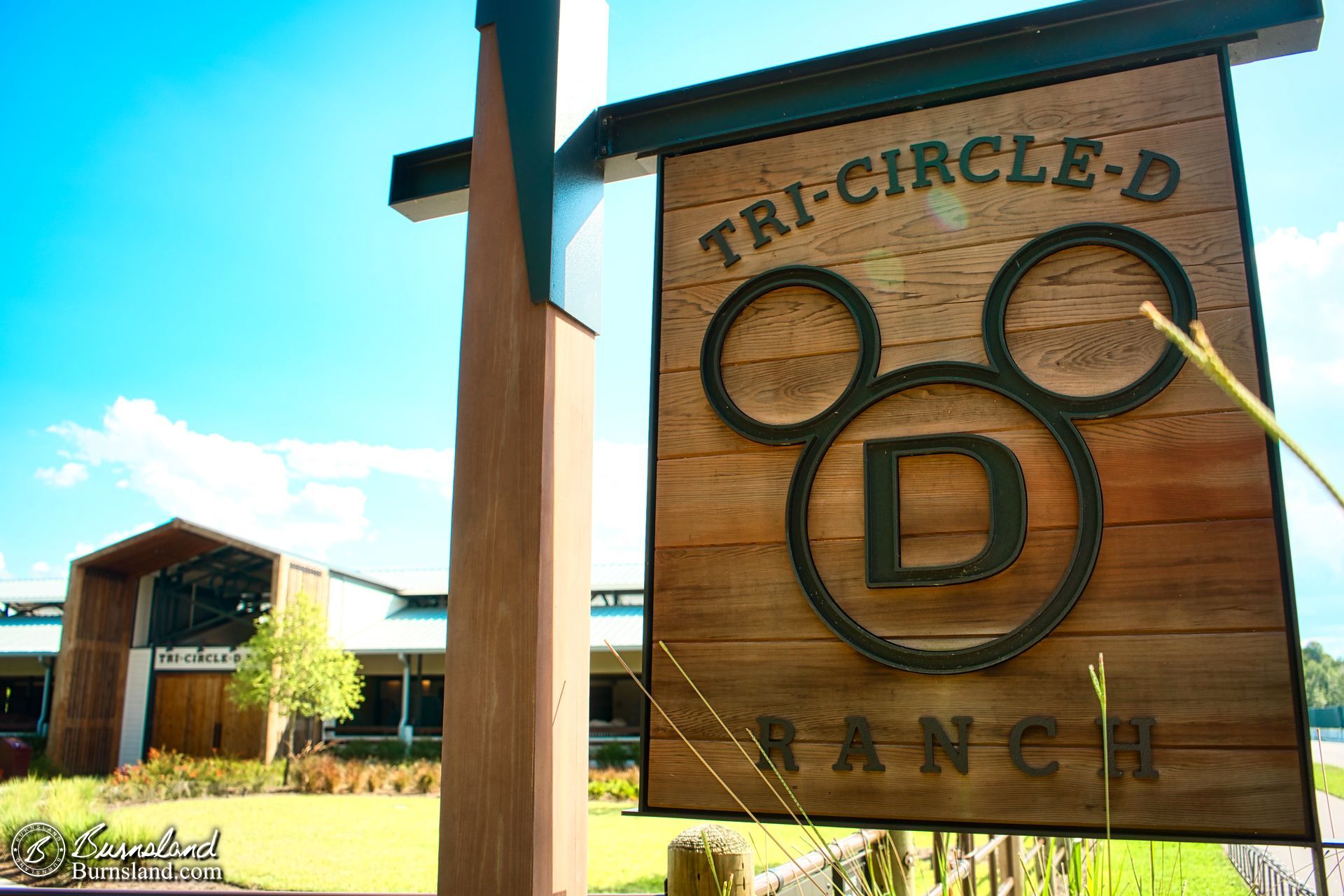 Tri-Circle-D Ranch at Walt Disney World, home to some happy horses