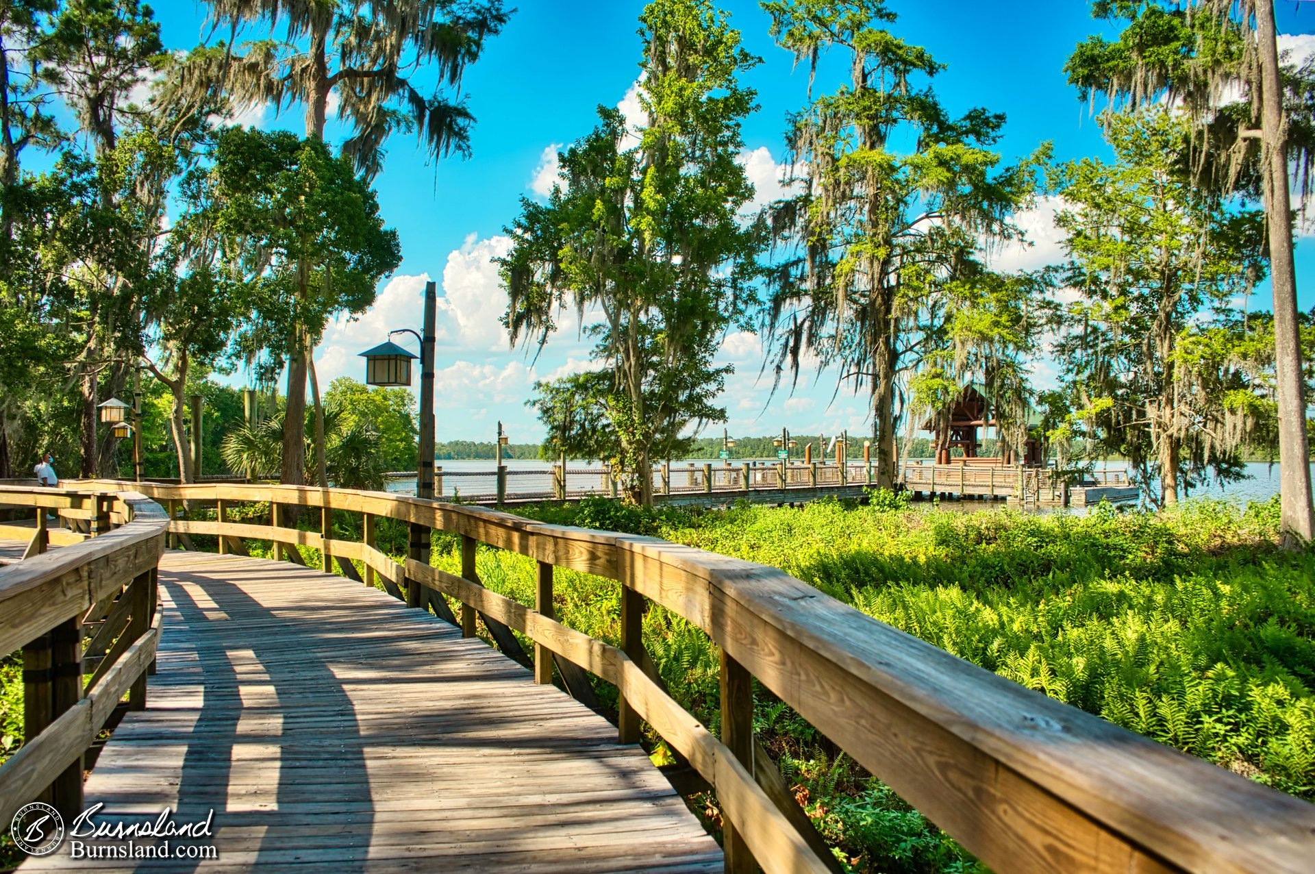 Walking to the Wilderness Lodge boat dock