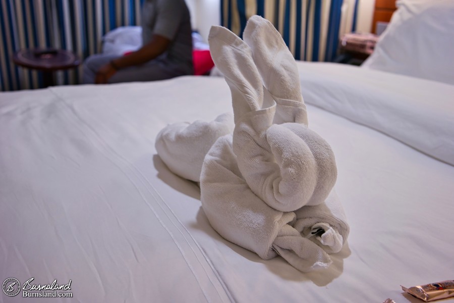 Towel bunny!