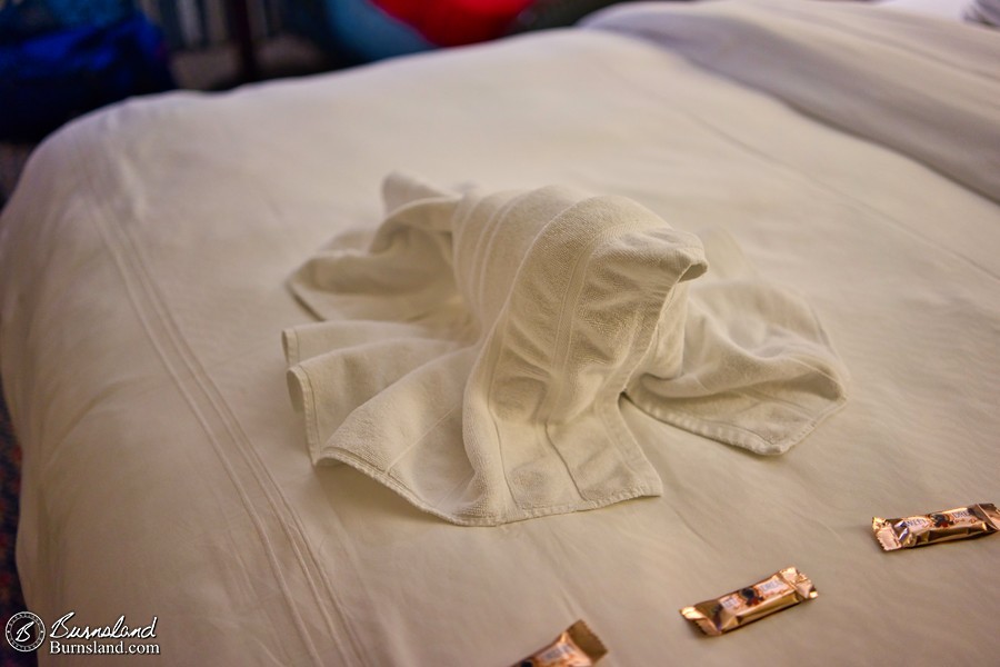 Our towel lobster left for us by Reeda