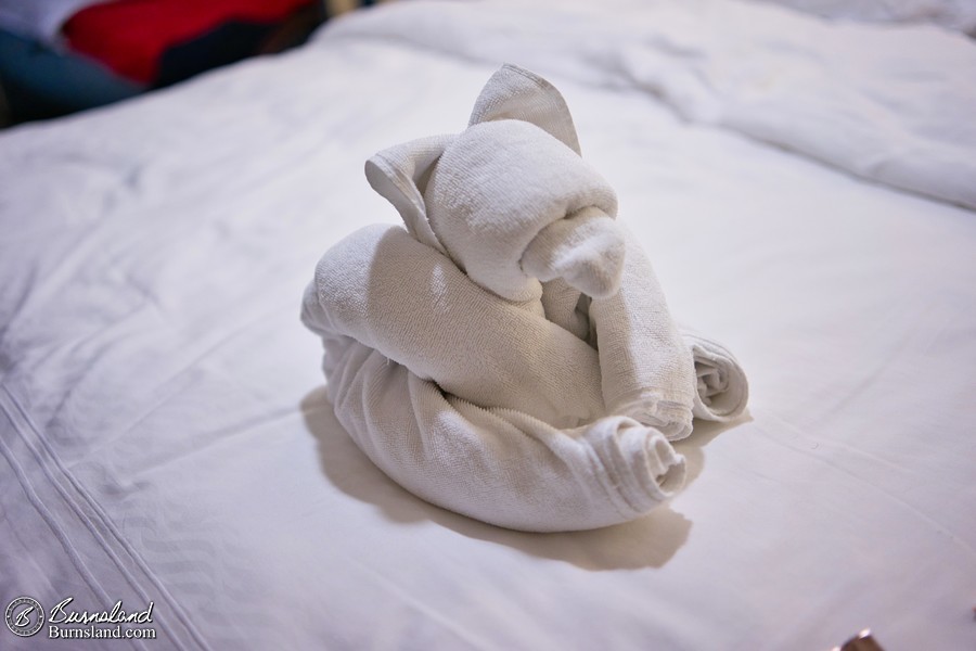 Well hello there, towel bear!