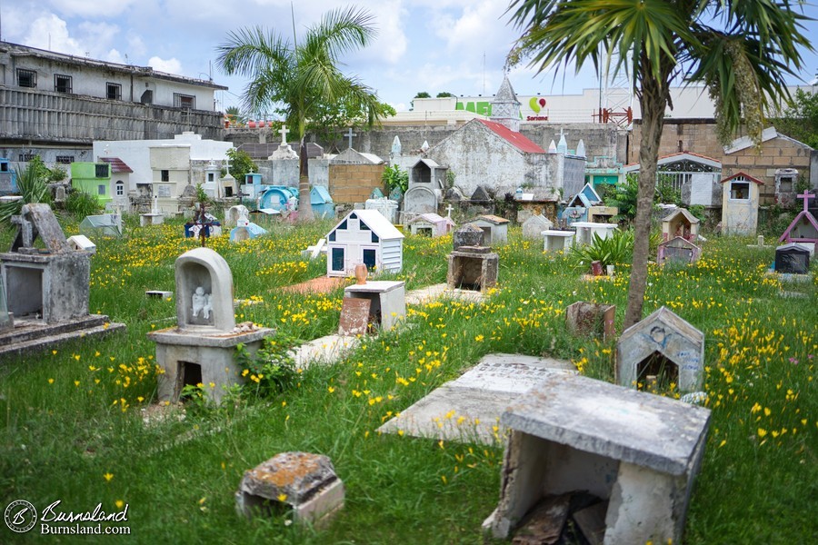 COVID graves at a cemetery in Cozumel, Mexcio