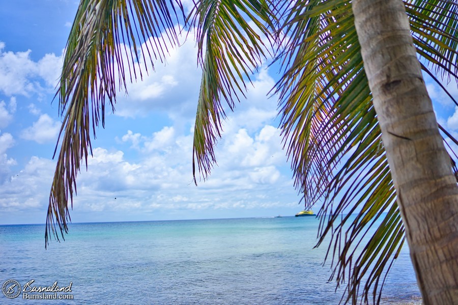 One more beach photo from Cozumel before we move along