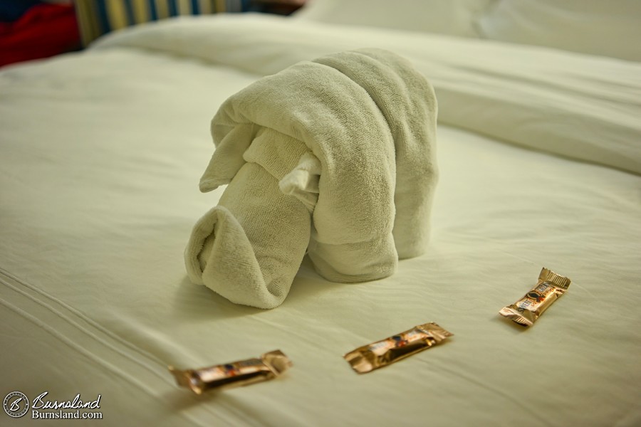 Goodnight from our towel rhino. I am glad he did not eat all of the chocolate.