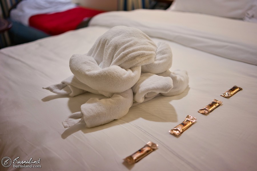 A towel turtle in our room on the Disney Fantasy