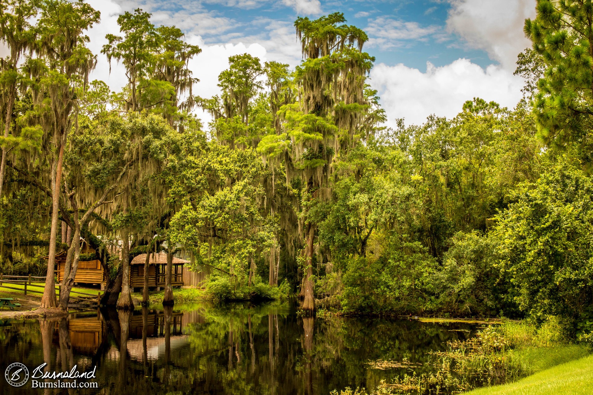 Cabin in the woods at Shingle Creek Regional Park