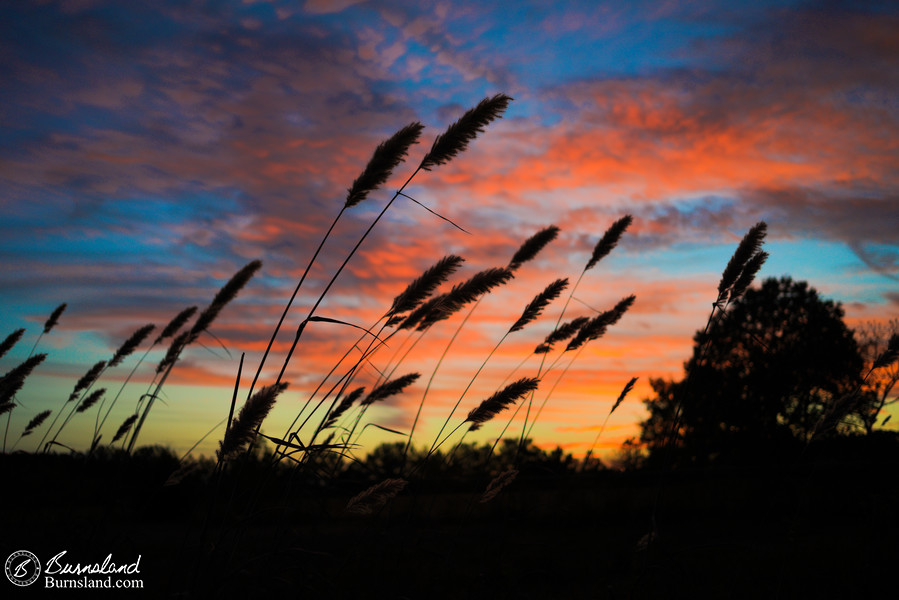 A colorful fall sunset in Tennessee