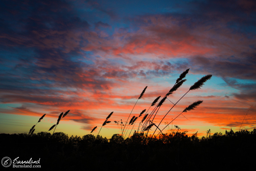 A colorful fall sunset in Tennessee