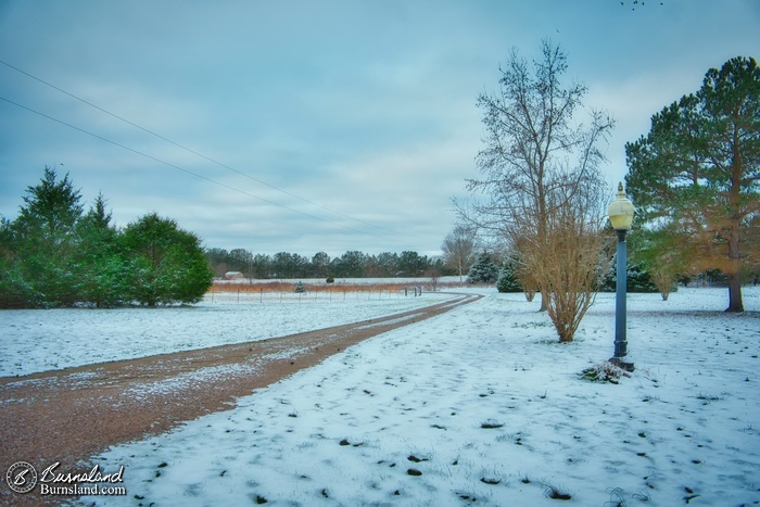 A light snow blankets the ground in early January at our house, creating a nice winter scene.