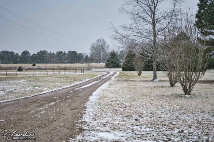 We received a little winter weather in the form of a light dusting of snow recently, which made a good subject for the 50with50 series