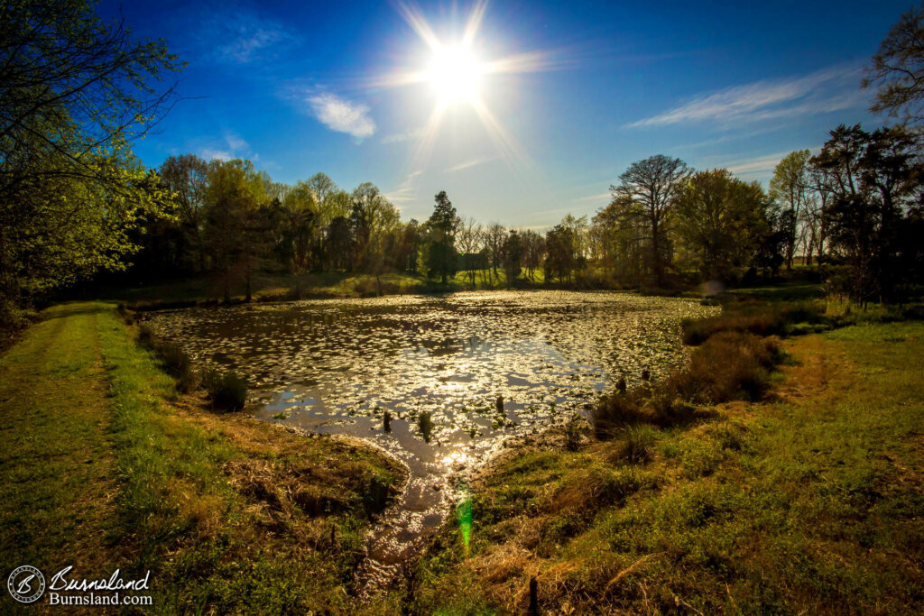 A Pond in the Sun at Pinson Mounds State Park in Tennessee.