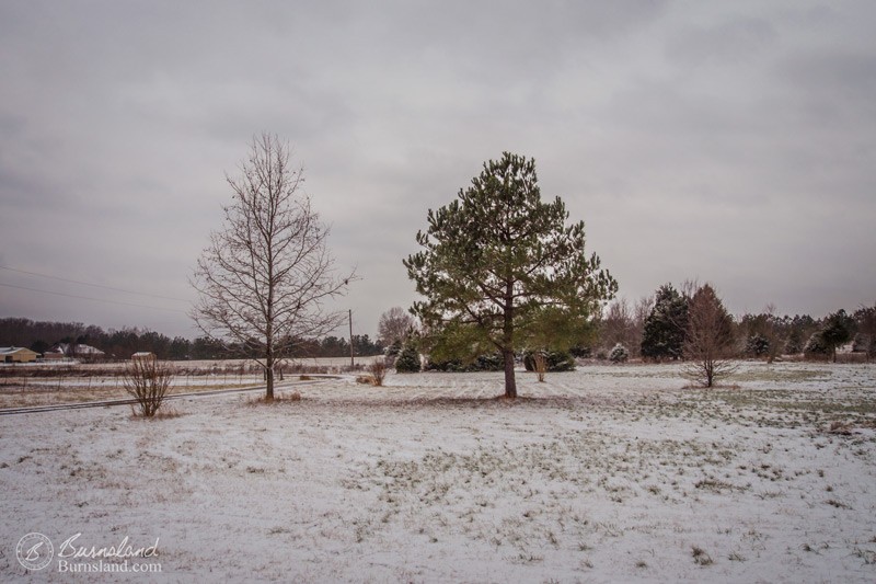 A Snow Day at Home