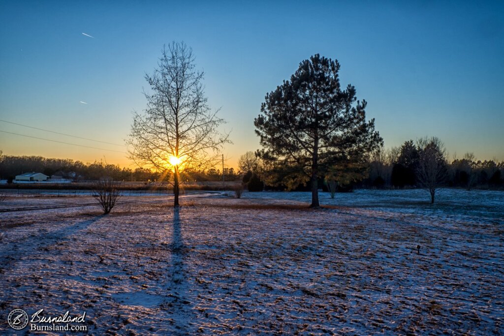 The sun sets behind a tree as seen across our snow covered yard. See more winter weather photos at Burnsland!