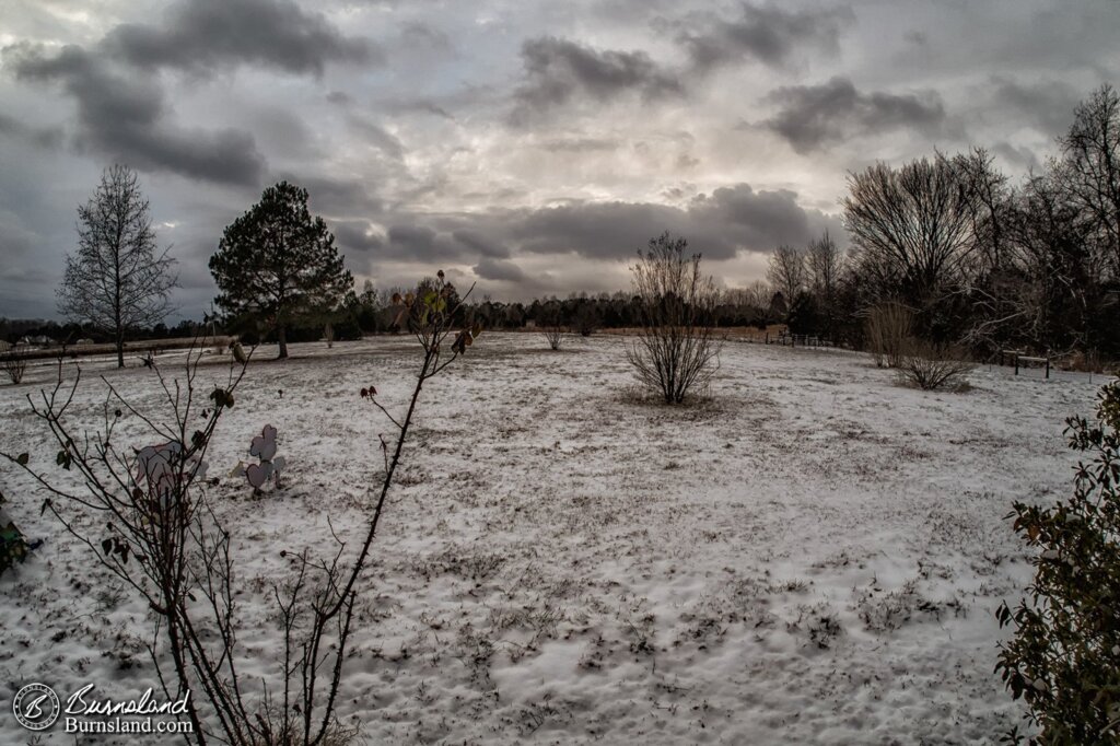 A visit from Old Man Winter