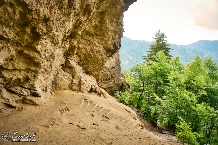 Stair steps in the ground leading up to Alum Cave Bluffs