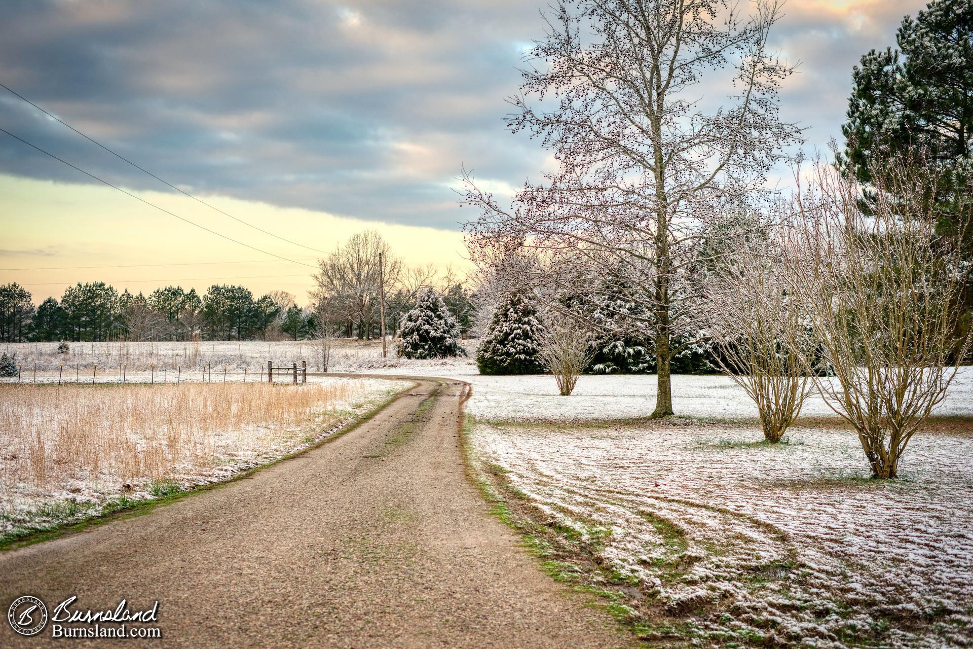 Another view of the light snow we received in early February