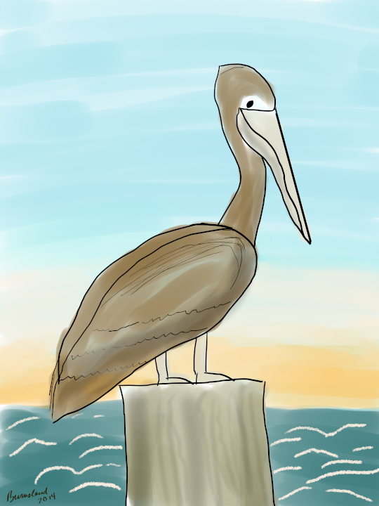 At the Beach We Saw: Pelicans