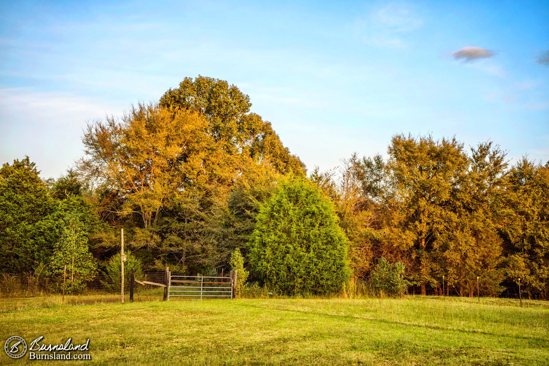 Autumn colors on the trees