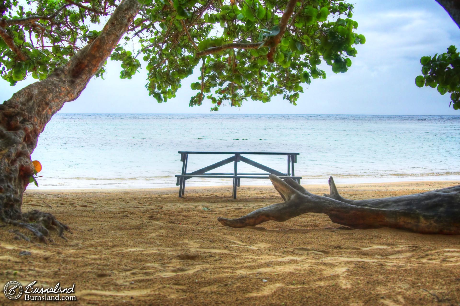 Beach in Jamaica