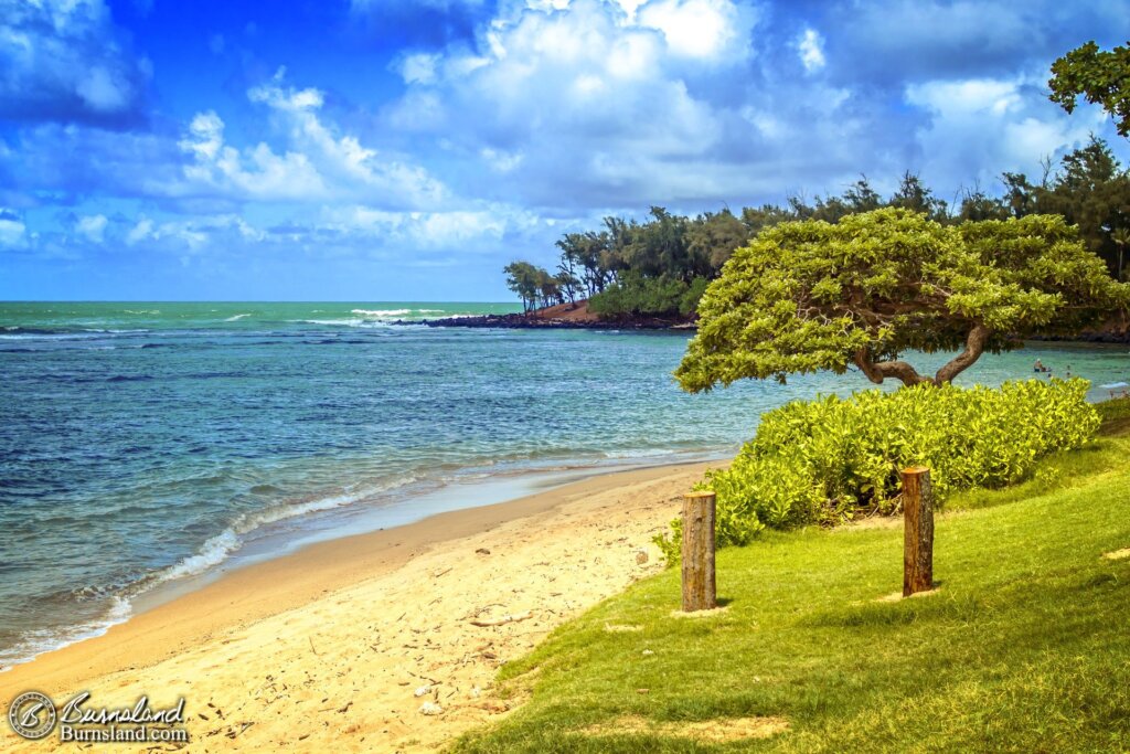 Beach View at Anahola Beach in Hawaiʻi