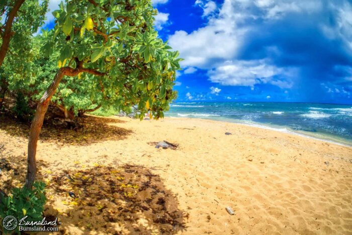 Waves gently roll onto the sun-washed sand at ʻAliomanu Beach on the island of Kauaʻi