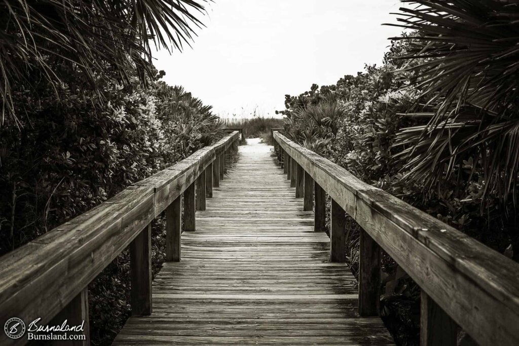 Beach Walkway in Black and White