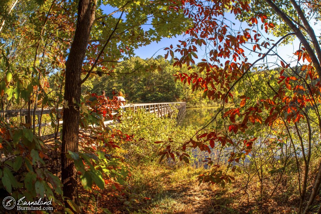 Big Hill Pond Boardwalk Through Trees