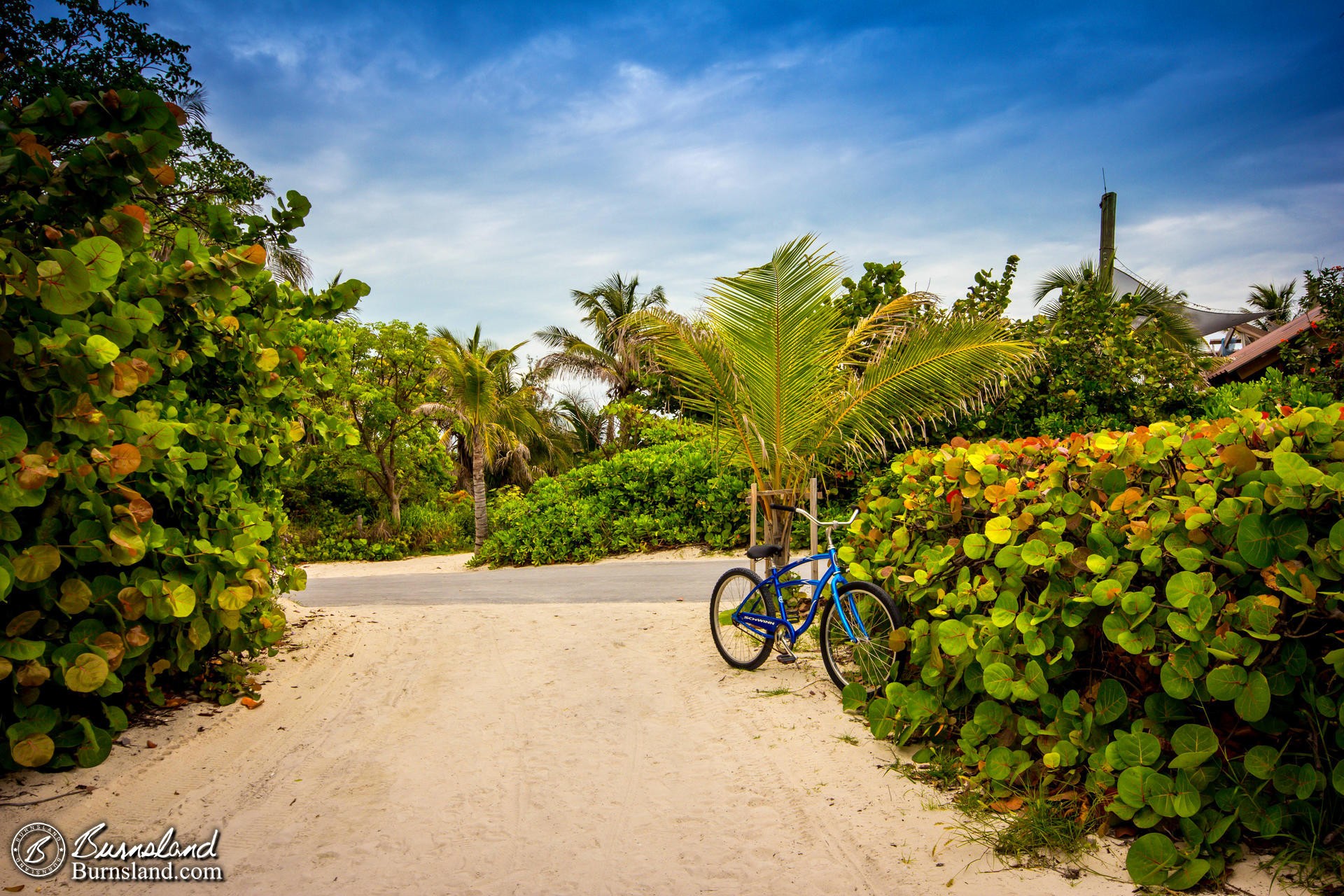 Blue Bicycle on Castaway Cay