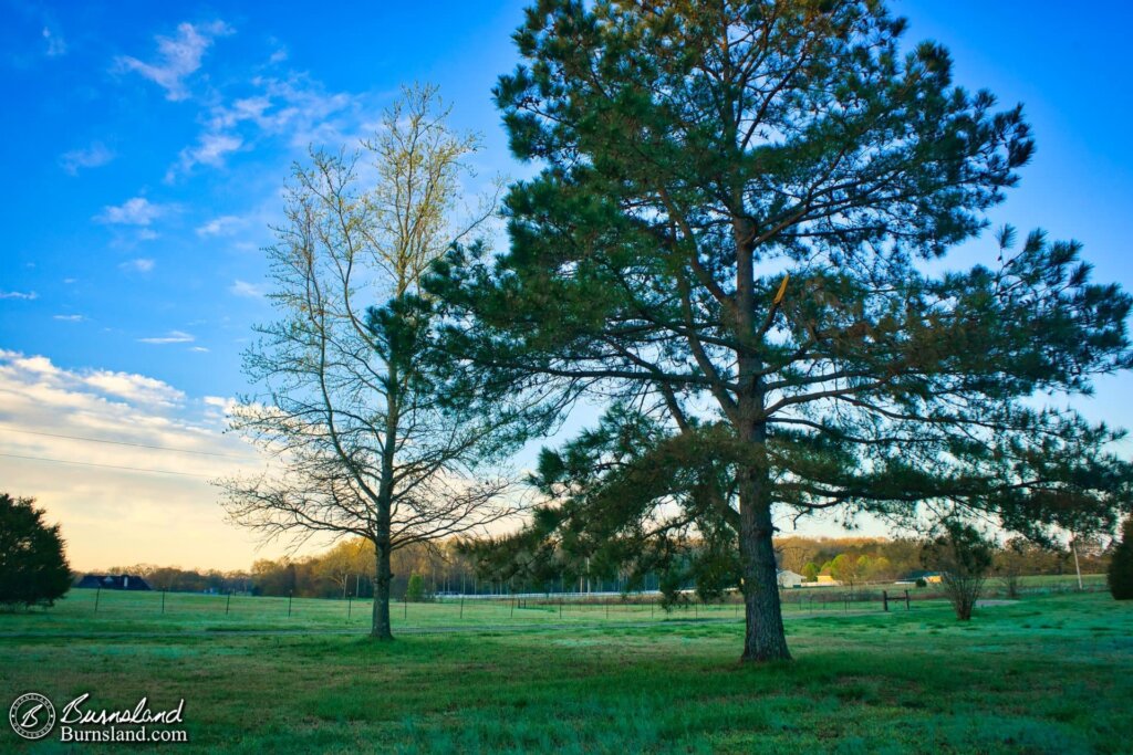 Blue and green fill the frame in this spring view from our front yard early one morning. The blue of the sky was just magnificent.