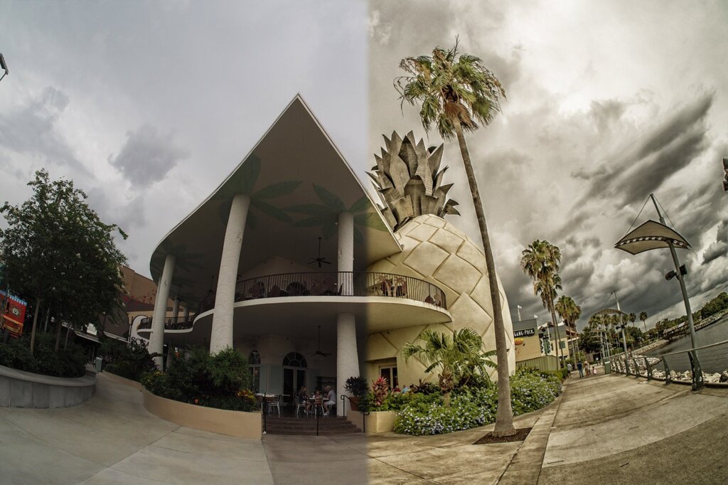 Bongos Cuban Cafe-beforeafter